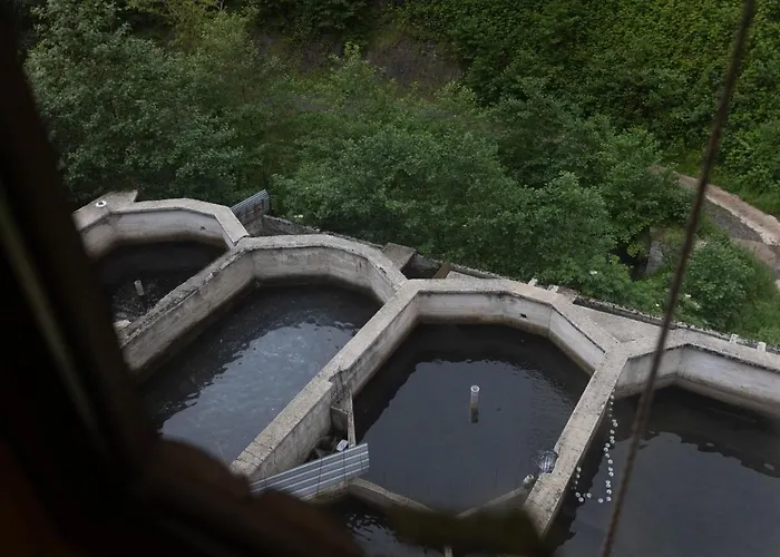 Apart-hotel Guerpinar Alabalik Ve Konaklama Tesisi